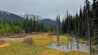 Smuts Creek - Parc provincial de Spray Valley Canada 2023